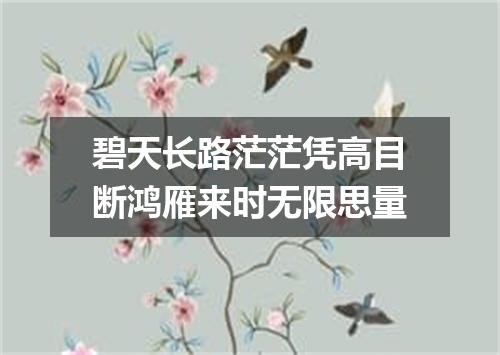 碧天长路茫茫凭高目断鸿雁来时无限思量
