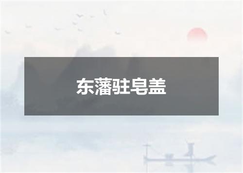 东藩驻皂盖