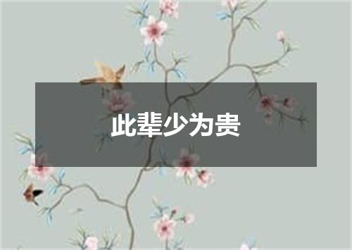 此辈少为贵