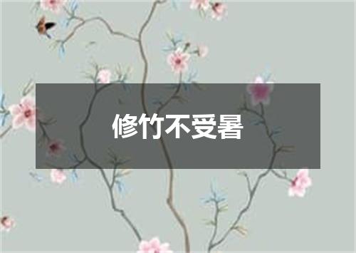修竹不受暑
