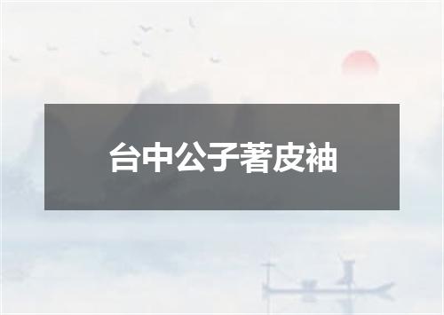 台中公子著皮袖