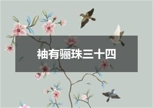 袖有骊珠三十四