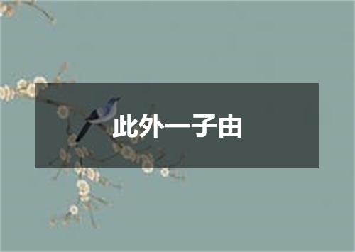 此外一子由