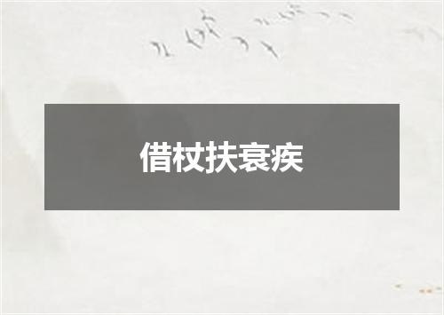 借杖扶衰疾
