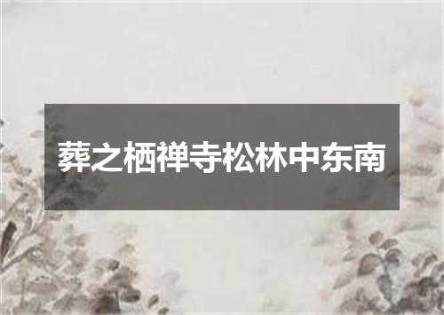 葬之栖禅寺松林中东南