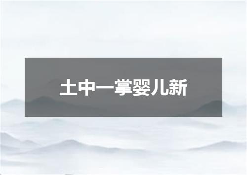 土中一掌婴儿新