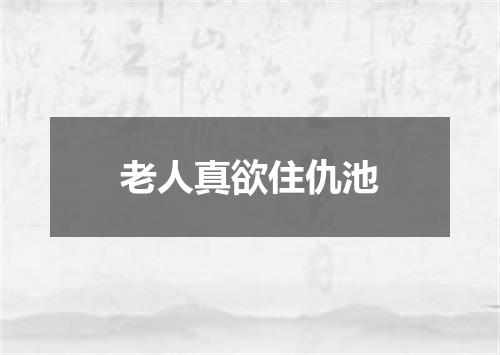 老人真欲住仇池