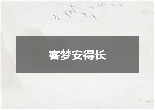 客梦安得长