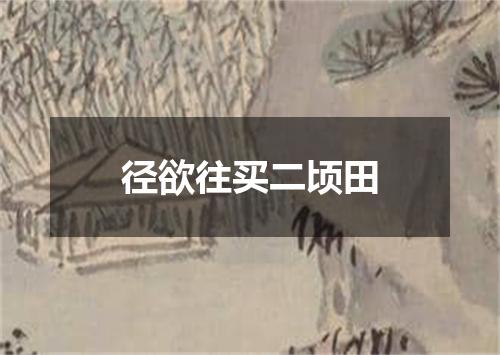 径欲往买二顷田