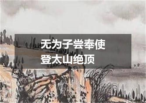 无为子尝奉使登太山绝顶