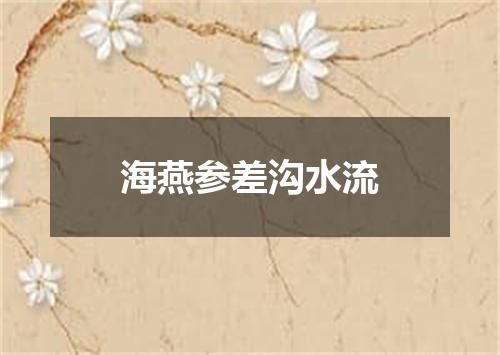 海燕参差沟水流