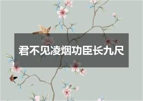 君不见凌烟功臣长九尺