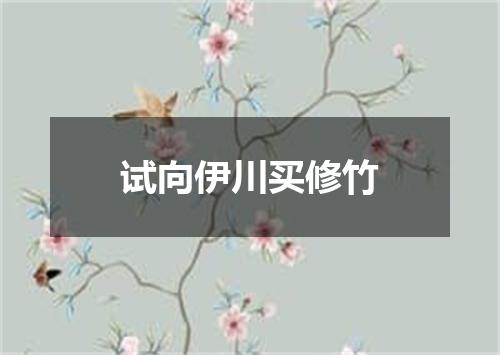 试向伊川买修竹