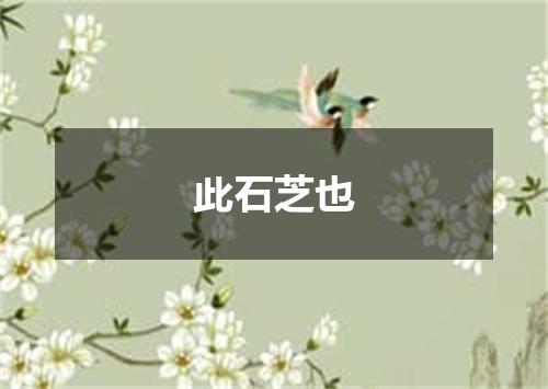 此石芝也