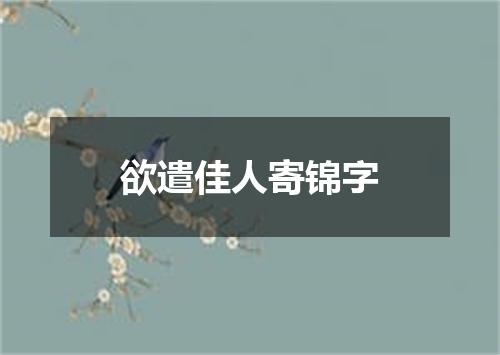 欲遣佳人寄锦字