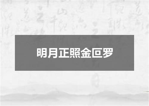 明月正照金叵罗