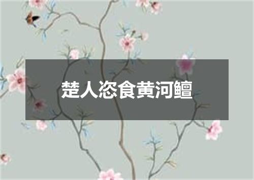 楚人恣食黄河鳣
