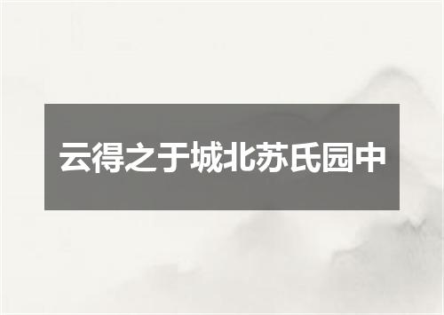 云得之于城北苏氏园中
