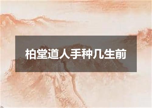 柏堂道人手种几生前