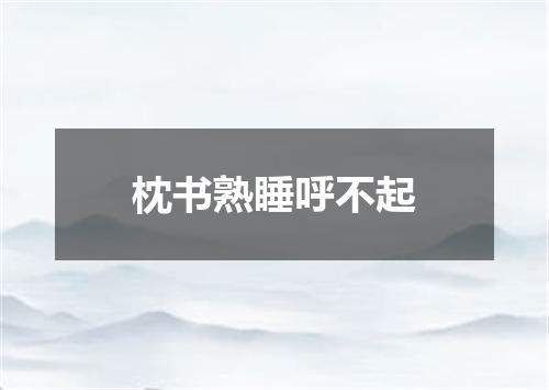 枕书熟睡呼不起