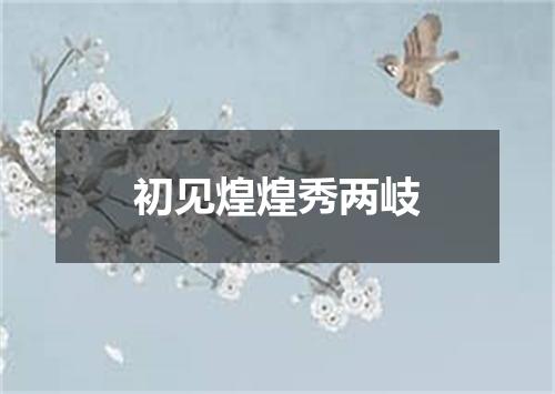 初见煌煌秀两岐