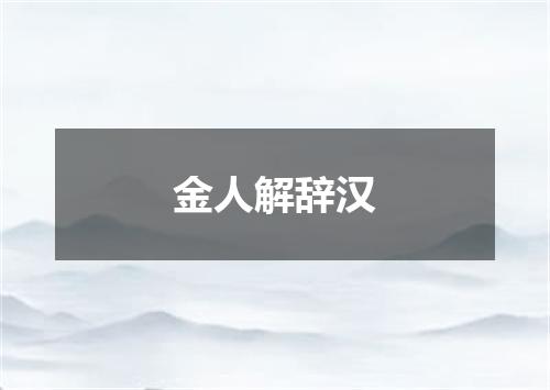 金人解辞汉