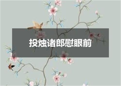 投烛诸郎慰眼前