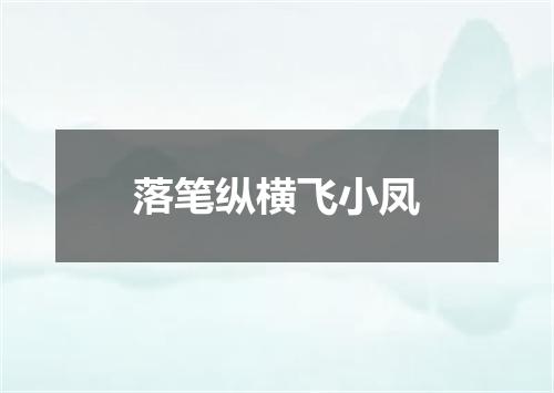 落笔纵横飞小凤