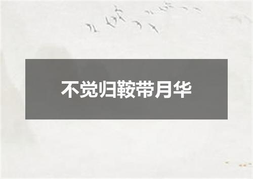 不觉归鞍带月华