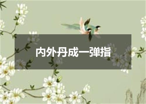 内外丹成一弹指