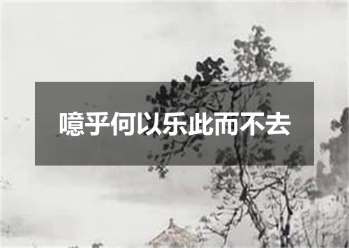 噫乎何以乐此而不去