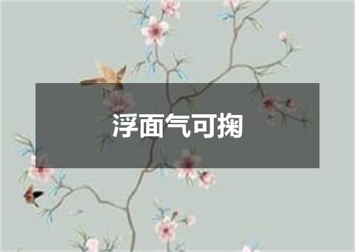 浮面气可掬