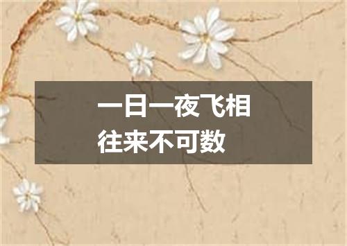 一日一夜飞相往来不可数