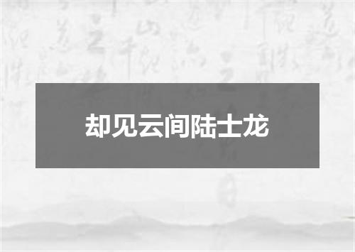 却见云间陆士龙