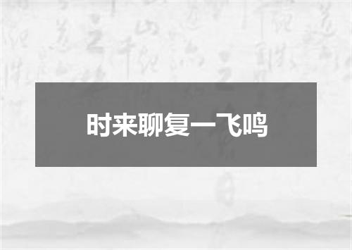 时来聊复一飞鸣