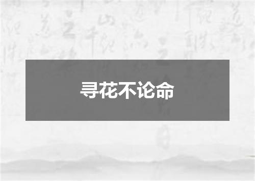 寻花不论命