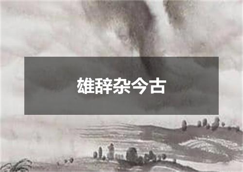 雄辞杂今古