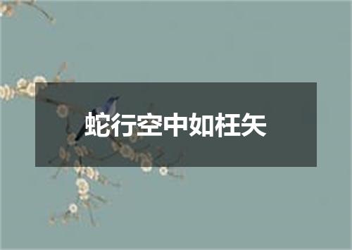 蛇行空中如枉矢