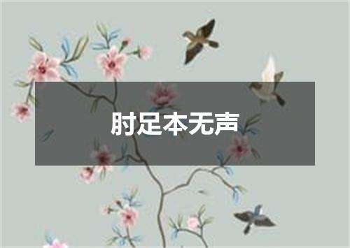 肘足本无声