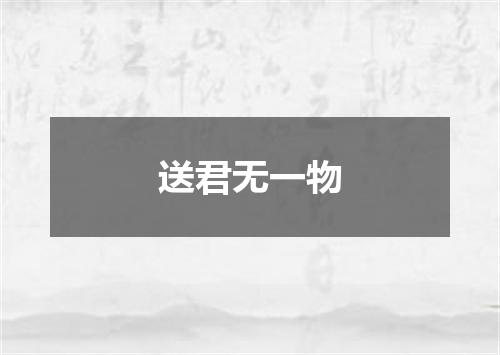 送君无一物