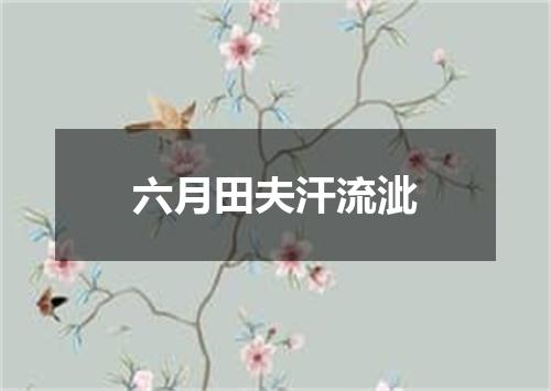 六月田夫汗流泚