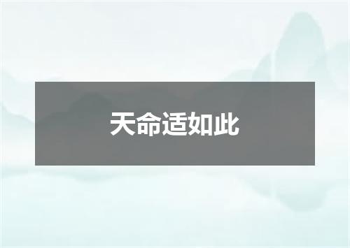 天命适如此