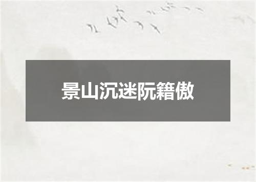 景山沉迷阮籍傲