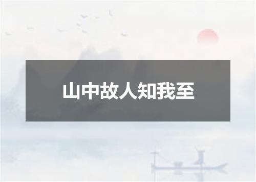 山中故人知我至