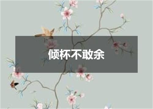 倾杯不敢余