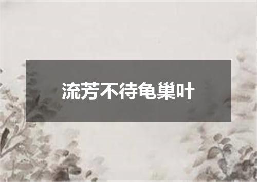 流芳不待龟巢叶