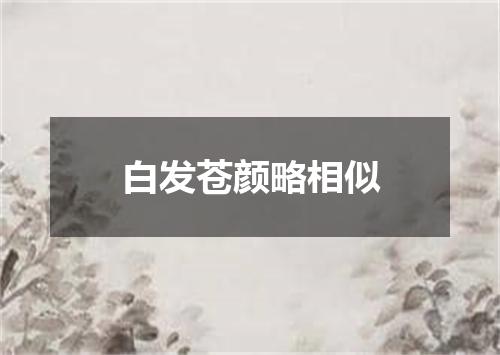 白发苍颜略相似
