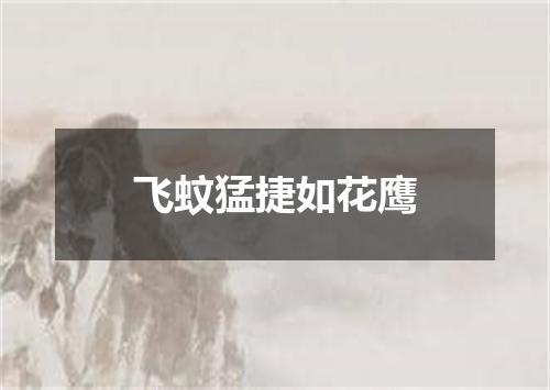飞蚊猛捷如花鹰