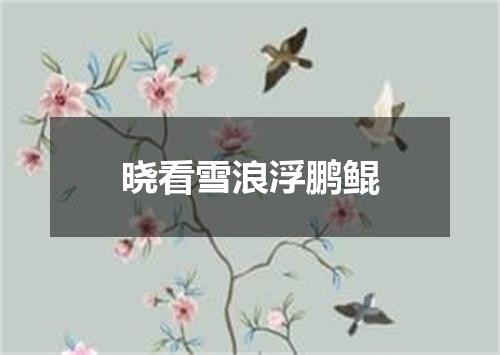 晓看雪浪浮鹏鲲