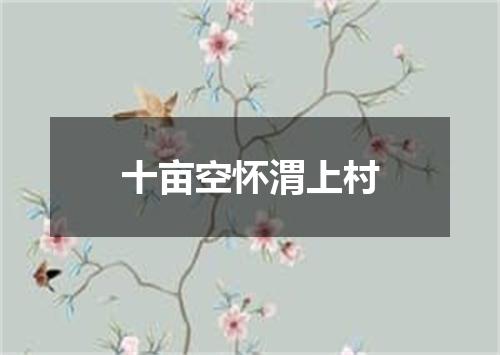 十亩空怀渭上村